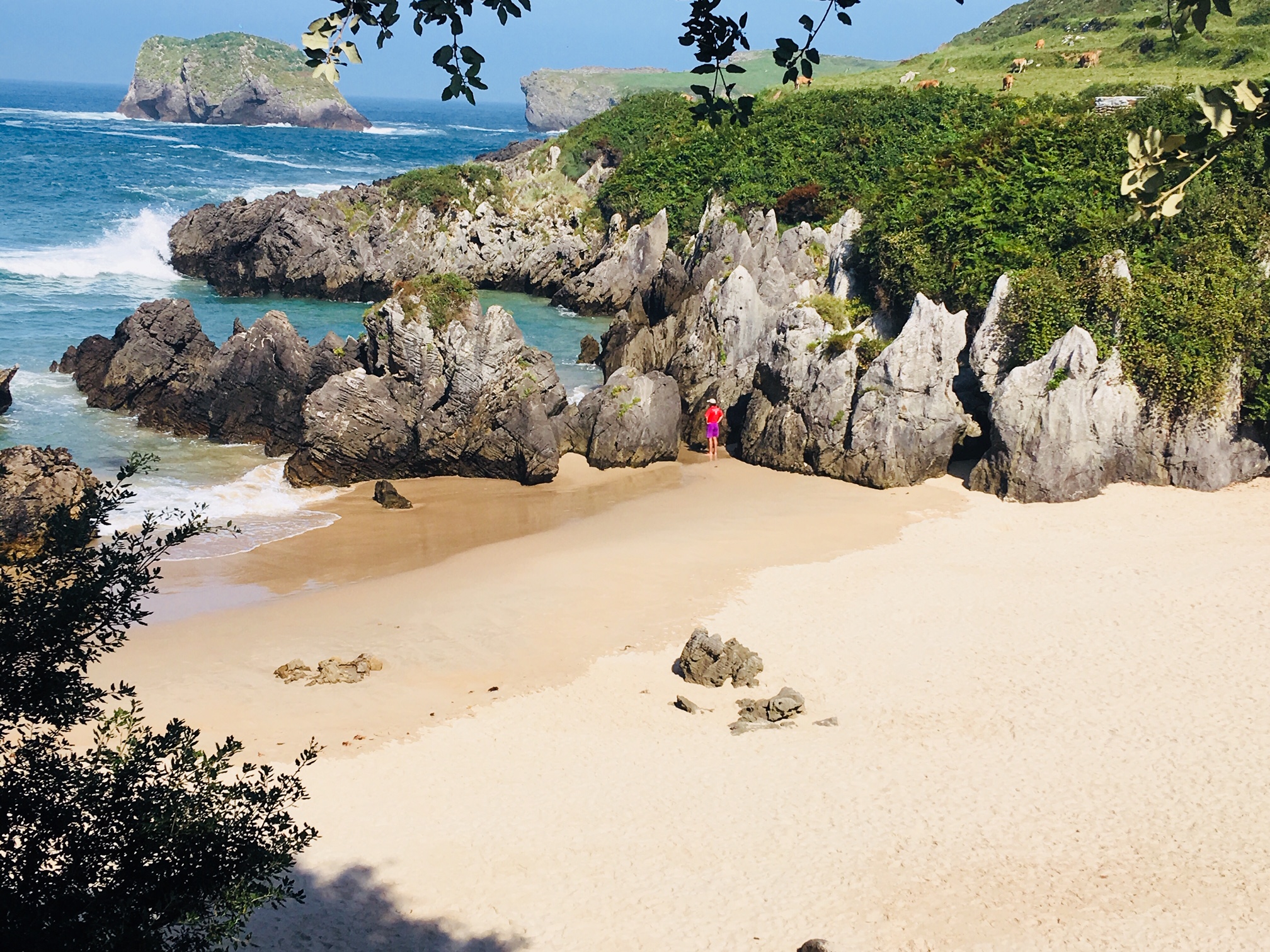 asturiasllanes Zenit Experiencias