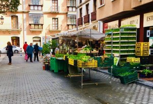 mercadillo asturias