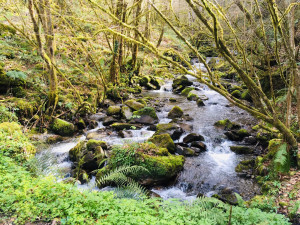 rios en asturias